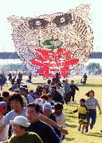 Kite-flying festival held in Osaka